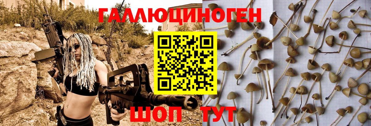 Псилоцибиновые грибы мицелий  Вход с VPN  купить наркоту  Солнечногорск 
