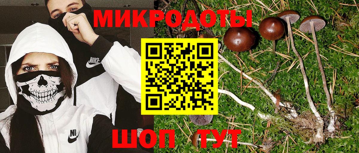 Псилоцибиновые грибы мухоморы Солнечногорск